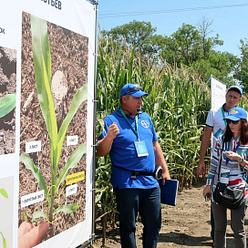 «Инновационный центр - 2019 Bayer», Краснодарский край, Белоглинский р-н, ст. Новолокинская